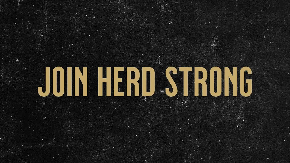 The Herd video thumbnail